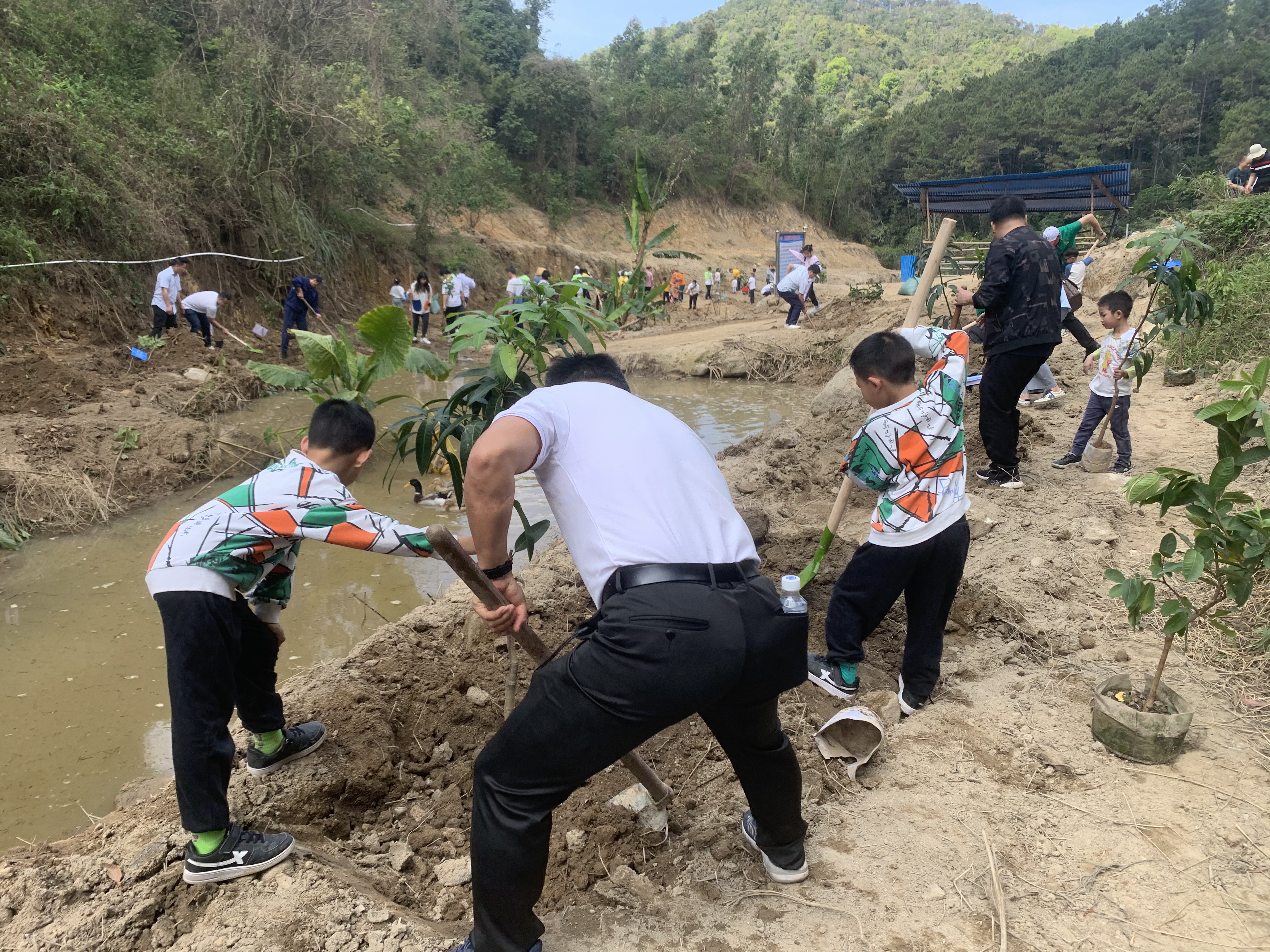 mmexport1647074915572.jpg mmexport1647074915572.jpg